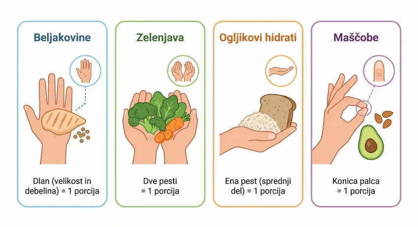 Infografika prikaza velikosti porcij s pomočjo dlani