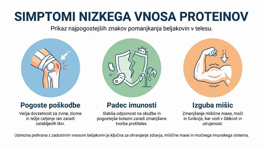 Infografika prikazuje posledice pomanjkanja beljakovin: poškodbe, padec imunosti in izguba mišic