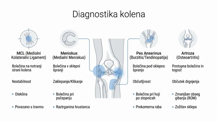 Infografika, ki prikazuje štiri glavne vzroke za bolečino na notranji strani kolena.