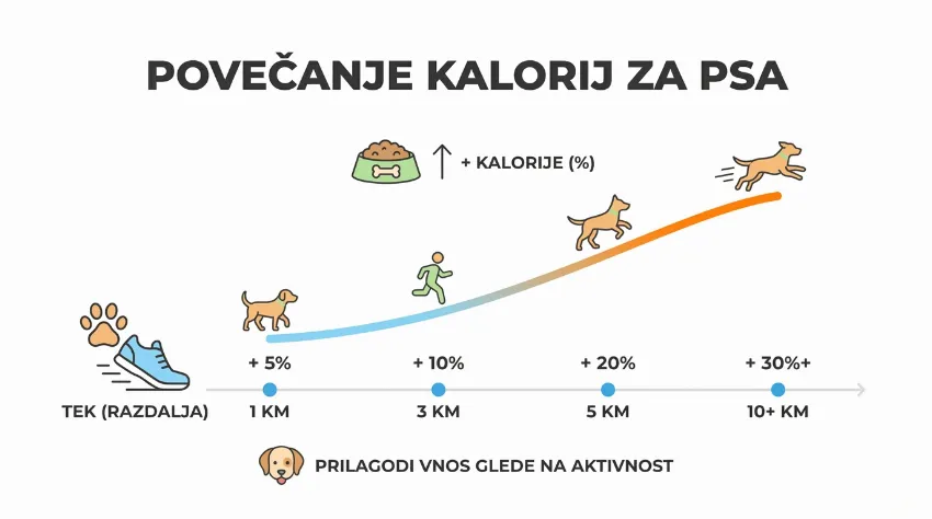Infografika prikazuje priporočeno povečanje kalorij za psa glede na pretečeno razdaljo.